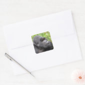 Glücklicher Affe Quadratischer Aufkleber (Umschlag)
