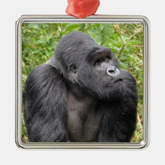 Glücklicher Affe Silbernes Ornament (Vorne)