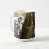 Glücklicher australischer Koala-Bär in Tree, Kaffe Kaffeetasse (Vorderseite Links)