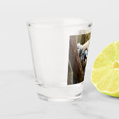 Glücklicher australischer Koala-Bär in Tree, Shot Schnapsglas (Links)