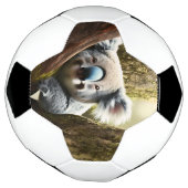 Glücklicher australischer Koala in Tree, Fußball-B Fußball (Gedreht)