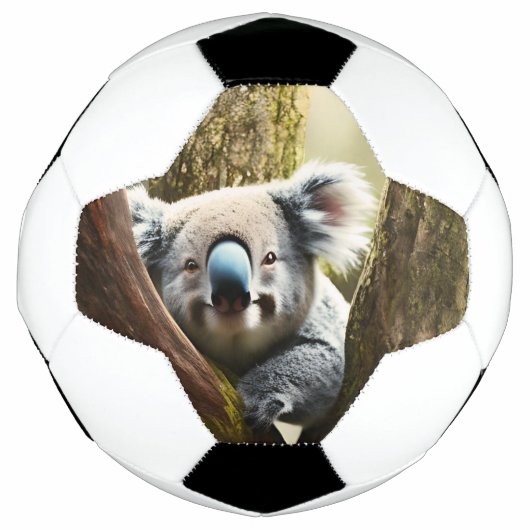 Glücklicher australischer Koala in Tree, Fußball-B Fußball (Vorderseite)