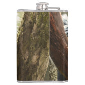 Glücklicher australischer Koala in Tree, Hip Flask Flachmann (Rückseite)