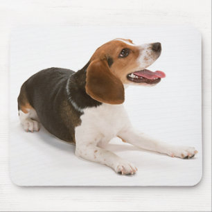 Glücklicher Beagle Mousepad