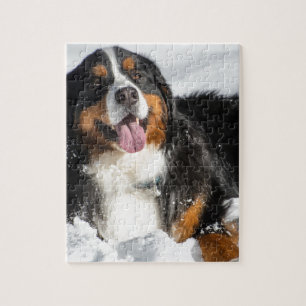 Glücklicher Bernese Gebirgshund im Winter-Schnee Puzzle