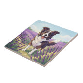 Glücklicher Border Collie auf einem Lavendelfeld Fliese (Seite)