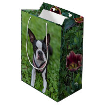 Glücklicher Boston Terrier mit Blumenfotografie 