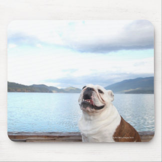 glücklicher Bullenhund sitzt auf Deck am See Mousepad