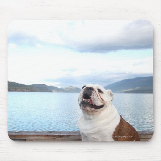 glücklicher Bullenhund sitzt auf Deck am See Mousepad (Vorne)
