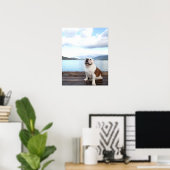 glücklicher Bullenhund sitzt auf Deck am See Poster (Heimbüro)