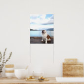 glücklicher Bullenhund sitzt auf Deck am See Poster (Küche)
