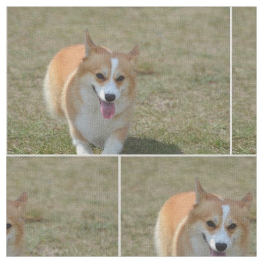 Glücklicher Corgi Stoff (Nahaufnahme)