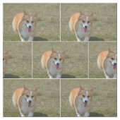 Glücklicher Corgi Stoff (Muster)