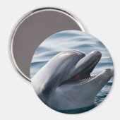 Glücklicher Delfin Nahaufnahme über blauem Wasser Magnet (Vorderseite/Rückseite)