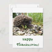 Glücklicher Erntedank! Feiertagspostkarte (Vorne/Hinten)