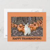 Glücklicher Erntedank Feiertagspostkarte (Vorne/Hinten)