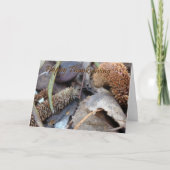 Glücklicher Erntedank - Karte (Vorderseite)