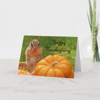 Glücklicher Erntedankniedliche Chipmunk-Karte