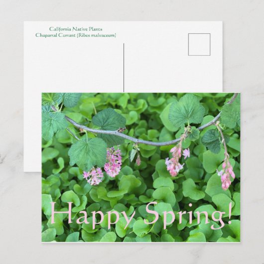 Glücklicher Frühling! Postkarte (Vorne/Hinten)