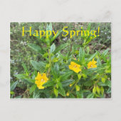 Glücklicher Frühling! Postkarte (Vorderseite)