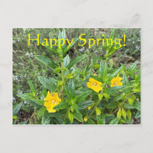 Glücklicher Frühling! Postkarte