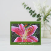 Glücklicher Frühling!!Postkarte Postkarte (Stehend Vorderseite)