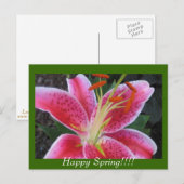 Glücklicher Frühling!!Postkarte Postkarte (Vorne/Hinten)
