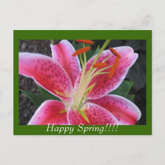 Glücklicher Frühling!!Postkarte Postkarte (Vorderseite)