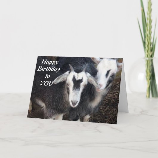 GLÜCKLICHER GEBURTSTAG AUS GLÜCKLICHEM PIGMY GOAT KARTE (Vorderseite)