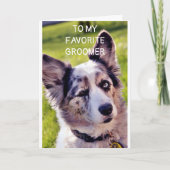 GLÜCKLICHER GEBURTSTAG **BELIEBTER HUND GROOMER** KARTE (Vorderseite)