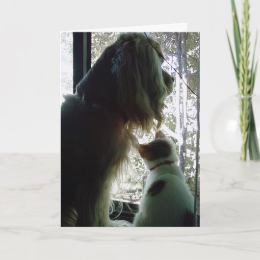 GLÜCKLICHER GEBURTSTAG ***DAUGHTER*** KARTE (Vorderseite)