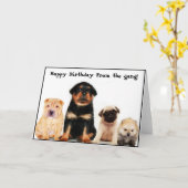 Glücklicher Geburtstag der Bande Welpen Grußkarte Karte (Gelbe Blume)