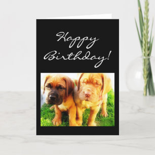 Glücklicher Geburtstag Dogue de Bordeaux Grußkarte Karte