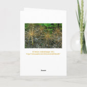 "GLÜCKLICHER GEBURTSTAG/FLORAL/FOTOG KARTE (Rückseite)