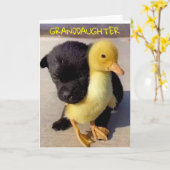 GLÜCKLICHER GEBURTSTAG FÜR SIE **GRANDDAUGHTER** K KARTE (Gelbe Blume)