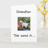 GLÜCKLICHER GEBURTSTAG FÜR SIE **GRANDSON** KARTE (Gelbe Blume)