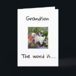 GLÜCKLICHER GEBURTSTAG FÜR SIE **GRANDSON** KARTE<br><div class="desc">GLÜCKLICHER GEBURTSTAG ***GRANDSON**** DANKE,  DASS SIE VON EINER MEINER ACHT GESCHÄFTE GESCHAFFEN HABEN!</div>