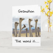 GLÜCKLICHER GEBURTSTAG FÜR SIE **GRANDSON** KARTE (Gelbe Blume)