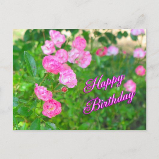 glücklicher Geburtstag Postkarte (Vorderseite)