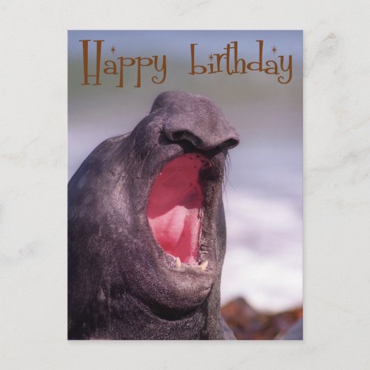 glücklicher Geburtstag Postkarte (Vorderseite)