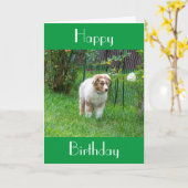 GLÜCKLICHER GEBURTSTAG SO GENIESSLICH WIE EIN SPAZ KARTE (Gelbe Blume)