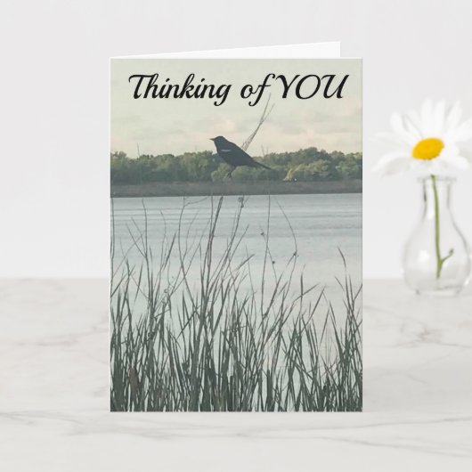 ***GLÜCKLICHER GEBURTSTAG*** WÜNSCHTE, ES WAR "IN KARTE (Kleine Pflanze)