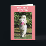 GLÜCKLICHER GEBURTSTAG ZU MEINEM **DAUGHTER** KARTE<br><div class="desc">BLUME IST IMMER SCHÖN,  ABER VON FAST ZU FAST IST ES NOCH SCHÖN. NIEDLICHE KARTE FÜR SIE "DAUGHTER" AUF IHREM GEBURTSTAG SICHER!! VIELEN DANK,  DASS SIE VON EINER MEINER ACHT GESCHICHTEN GESCHAFFEN HABEN! ÄNDERN SIE DAS ALTER,  WENN SIE IN SEKUNDEN MÖCHTEN:)</div>