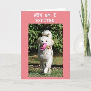 GLÜCKLICHER GEBURTSTAG ZU MEINEM **DAUGHTER** KARTE