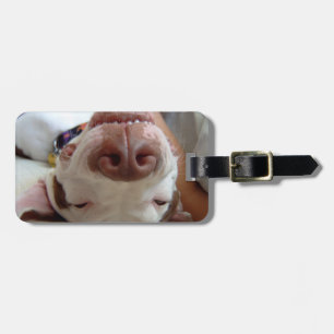 Glücklicher glücklicher Hundekundengerechter Gepäckanhänger