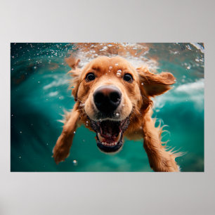 Glücklicher Golden Retriever Schwimmt Unterwasser Poster