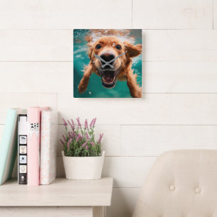Glücklicher Golden Retriever Schwimmt Unterwasser Quadratische Wanduhr