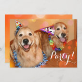 Glücklicher goldener Retriever verfolgt Einladung (Vorne/Hinten)