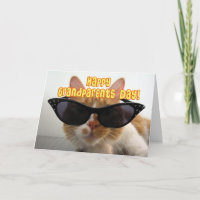 Glücklicher Großeltertag - Coole Katze