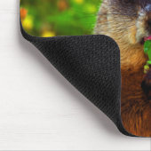 Glücklicher Groundhog Tag Blume essend Mousepad (Ecke)